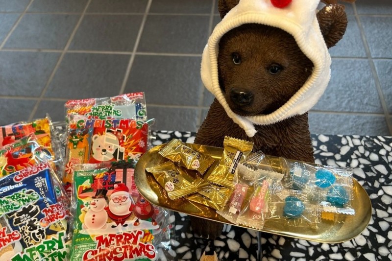 メリークリスマス🎄✨